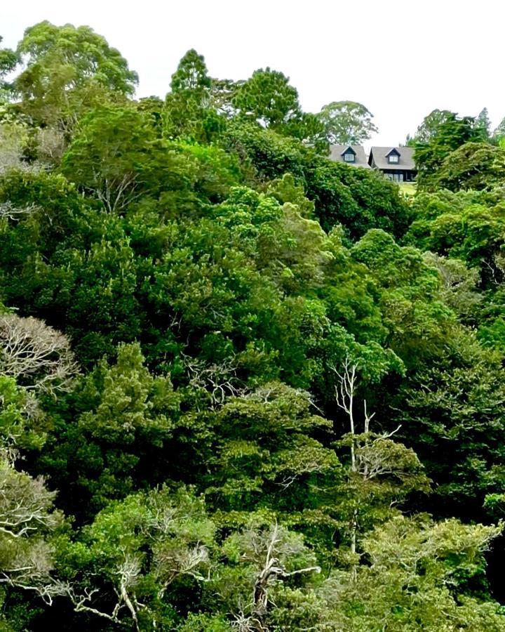 Risco De Hugo Villa Boquete Kültér fotó
